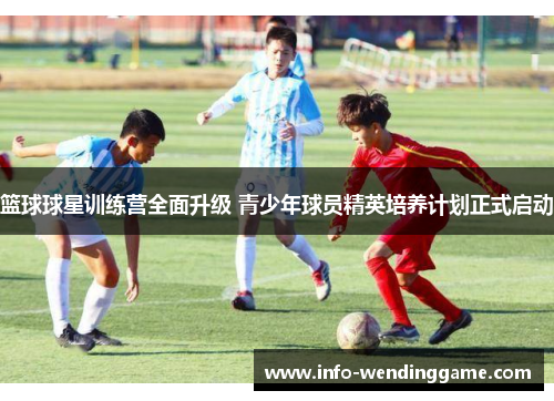 篮球球星训练营全面升级 青少年球员精英培养计划正式启动
