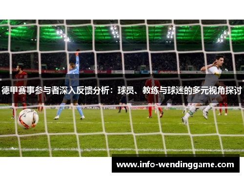 德甲赛事参与者深入反馈分析：球员、教练与球迷的多元视角探讨