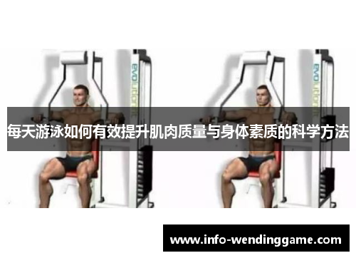 每天游泳如何有效提升肌肉质量与身体素质的科学方法