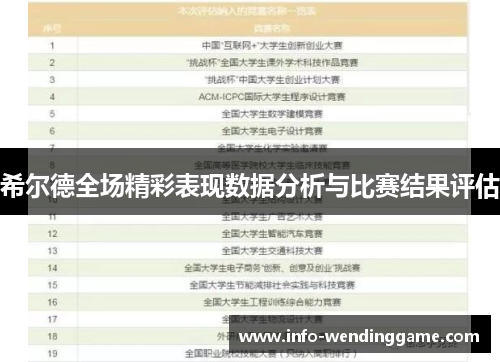 希尔德全场精彩表现数据分析与比赛结果评估