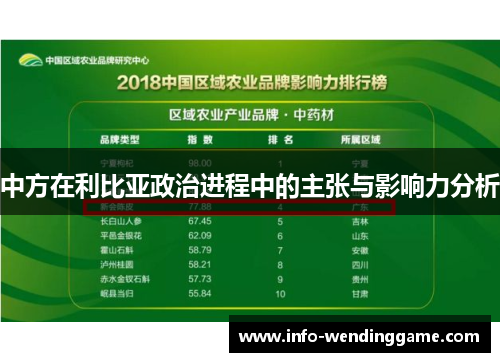 中方在利比亚政治进程中的主张与影响力分析