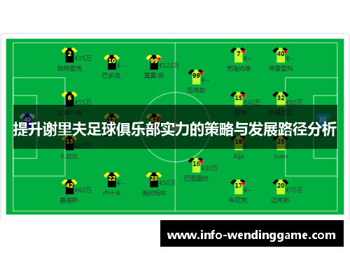 提升谢里夫足球俱乐部实力的策略与发展路径分析