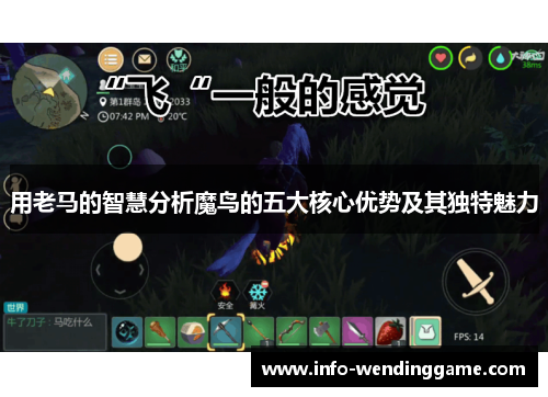 用老马的智慧分析魔鸟的五大核心优势及其独特魅力